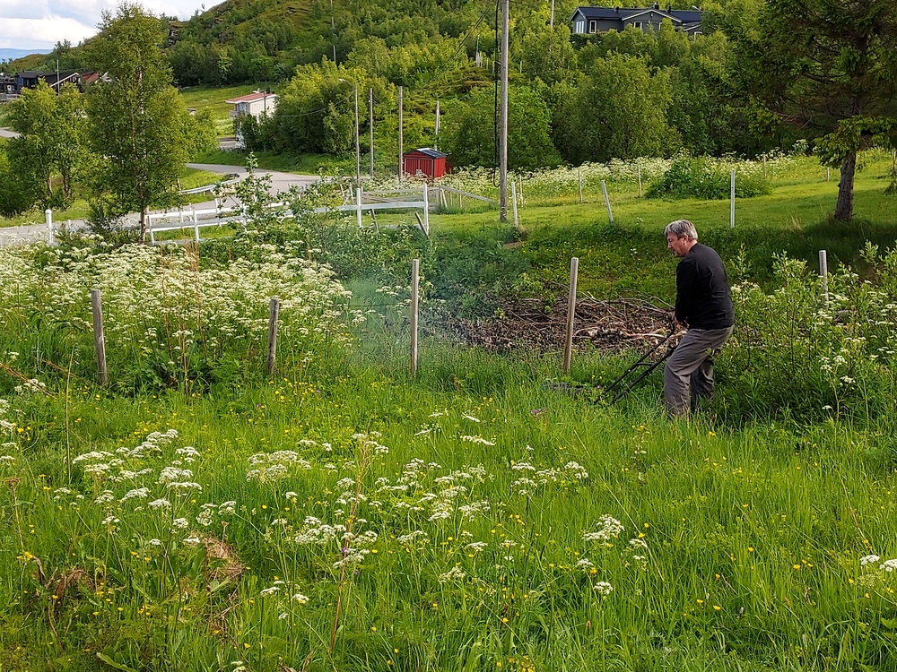 Jan Fredrik klipper gress