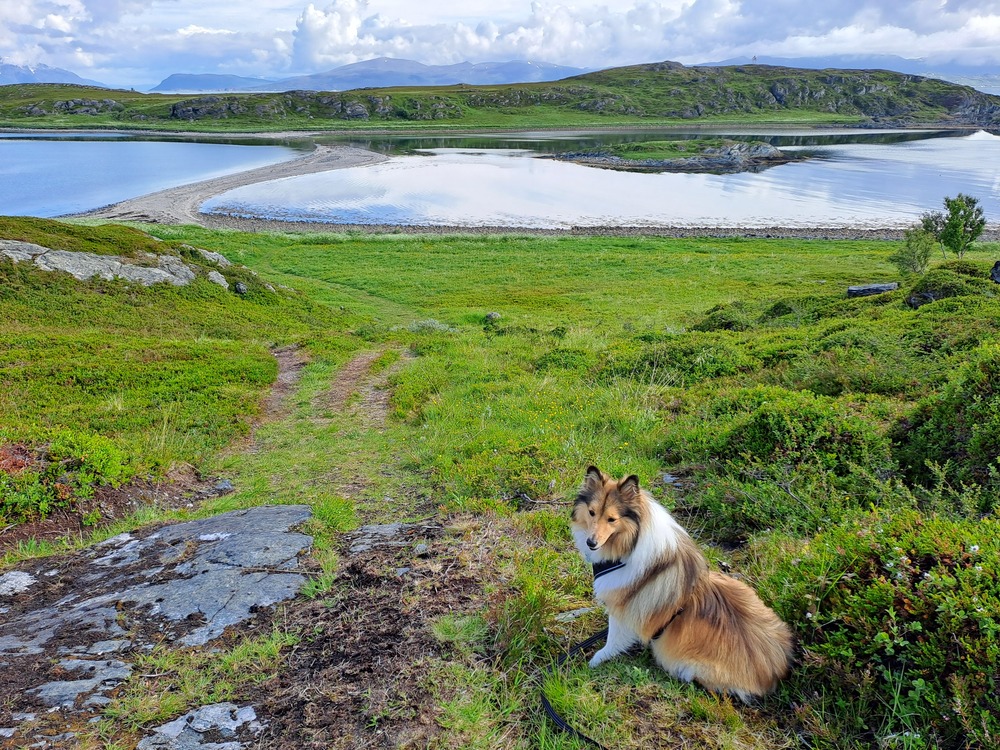 Tur til Valen på Isnestoften