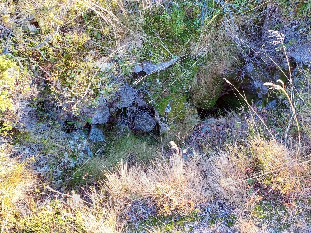 Fangstgrop fra Steinalderen